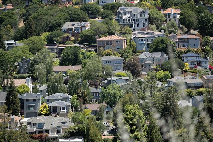 Hillside homes and tree canopy in the Oakland Hills