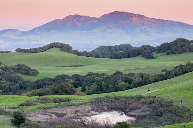 Rolling hills and Mount Diablo near Walnut Creek at sunset